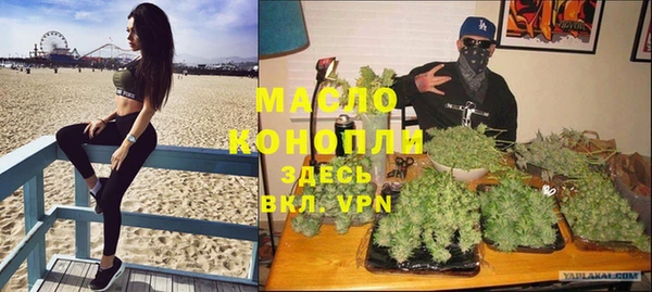 твердый Протвино