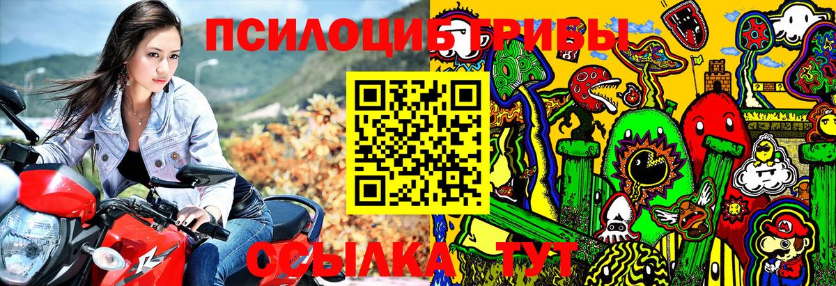 Псилоцибиновые грибы мухоморы  Вход с VPN  Сальск  где купить наркоту  Галлюциногенные грибы мухоморы 