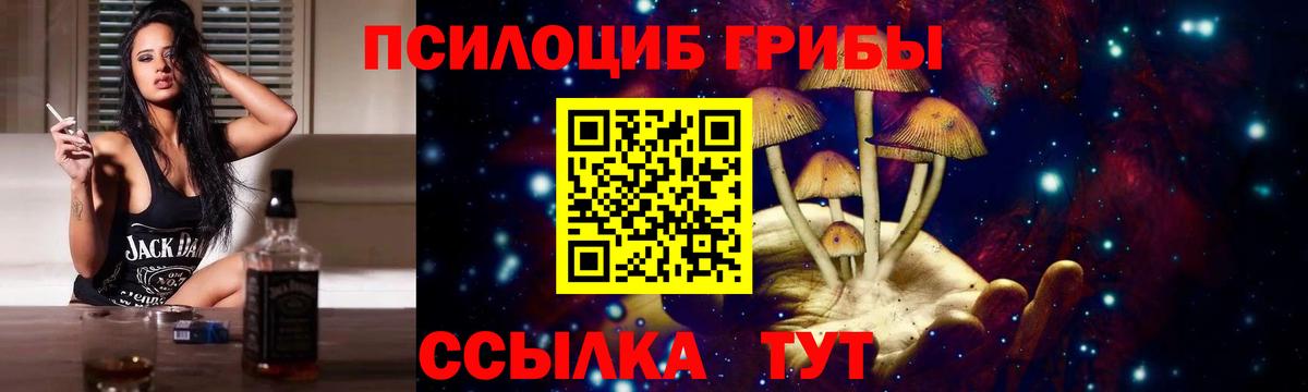 Галлюциногенные грибы прущие грибы Сальск